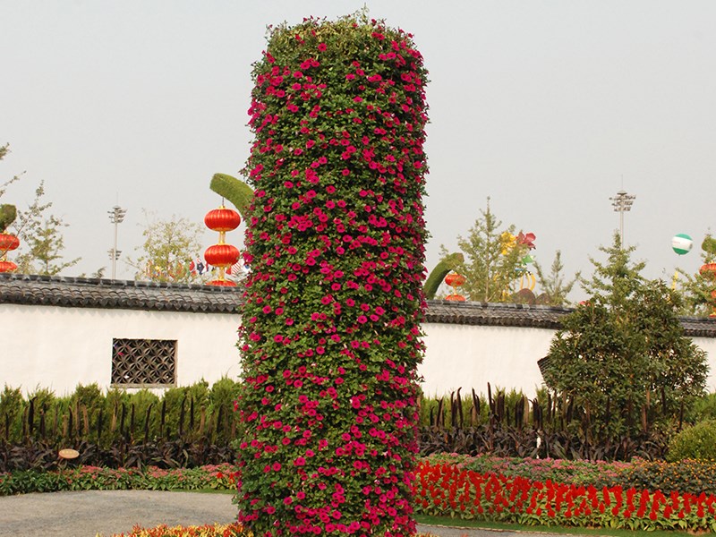 花灯天津光合谷工程