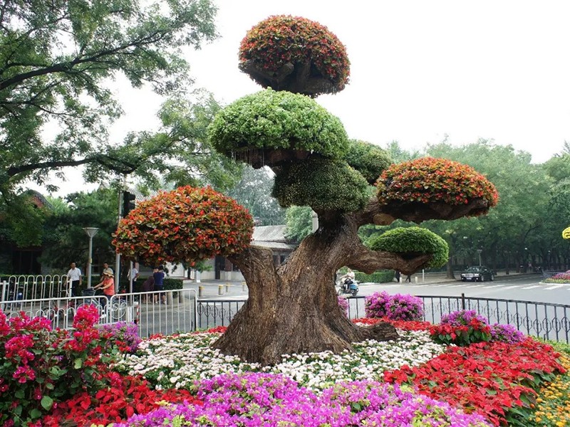 五色草造型烟台工程