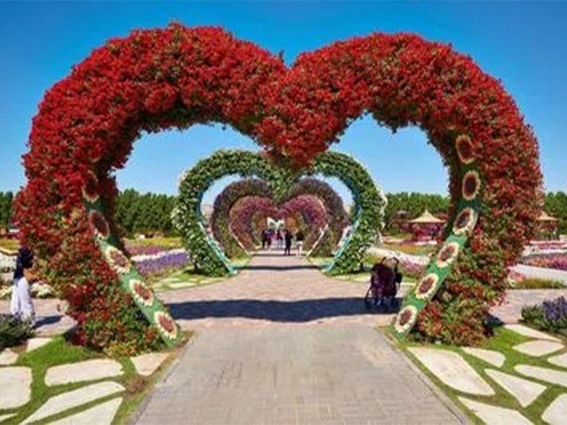 五色草造型烟台工程