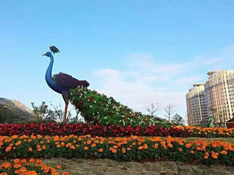 五色草造型烟台工程